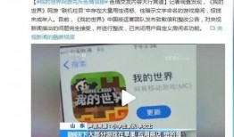 央视爆料我的世界视频,我的世界视频背后的真实世界