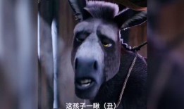 最新老子爆料搞笑视频,揭秘生活幽默瞬间