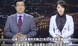 圈内教父韩国媒体人爆料,揭秘娱乐圈不为人知的幕后真相