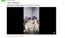 天涯爆料冯小涵视频全集,冯小涵视频全集揭秘，真相背后引人深思