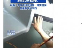 爆料人陈女士是谁啊视频,爆料人身份引发热议