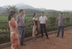 华桥村村民爆料视频最新,揭秘村庄背后惊人真相