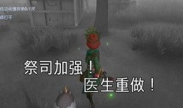 第五人格采访爆料视频,采访爆料视频深度解析