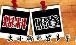 沉香今日爆料新闻,揭秘娱乐圈惊人内幕