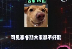 瓜吃瓜娱乐,揭秘娱乐圈幕后故事，带你领略明星们的真实生活