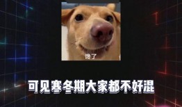 瓜吃瓜娱乐,揭秘娱乐圈幕后故事，带你领略明星们的真实生活