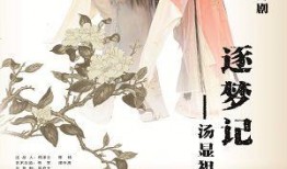 挂冠归来在线观看,传奇英雄的荣耀回归