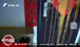 河南都市频道新闻爆料,揭秘某重大事件背后真相