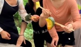三位美女吃瓜视频大全免费观看,三位美女吃瓜视频大全，免费观看，精彩不容错过！