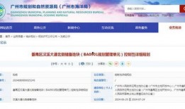广州大爆料最新消息,最新热点事件深度解析