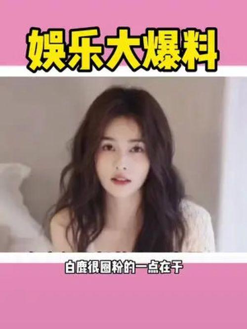 娱乐崽吃瓜