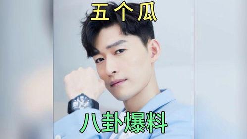 吃瓜娱乐圈八卦小说,瓜田里的秘密与真相